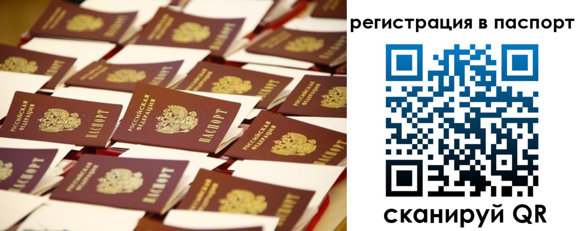 прописка гарантия в Прохладном